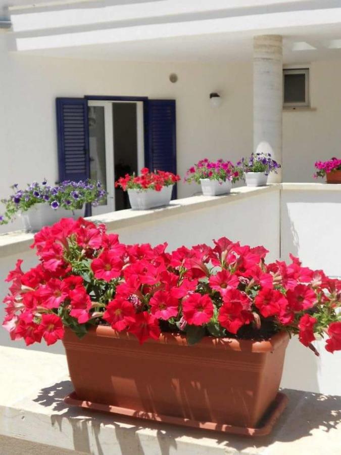 B&B Ma.Re. Otranto Exterior foto